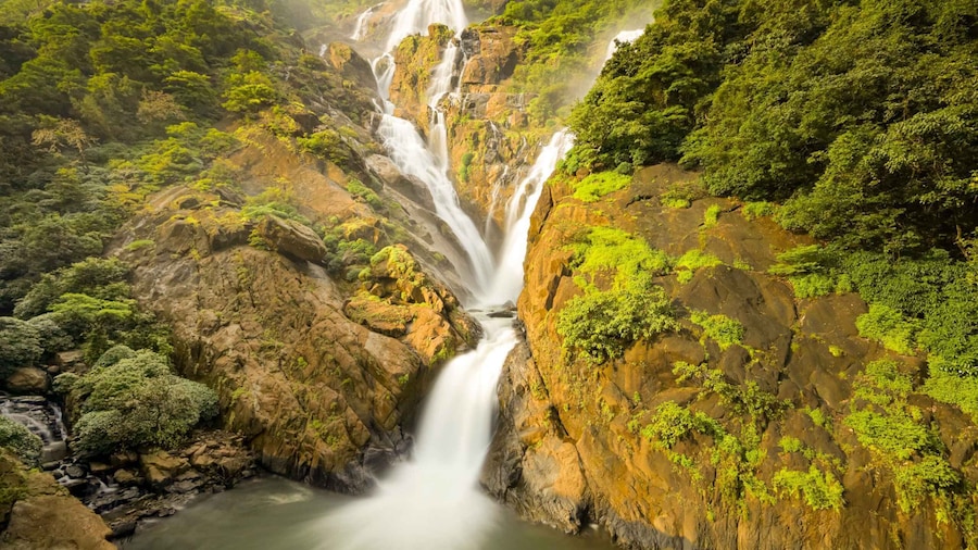 From Goa: Dudhsagar Waterfalls & Plantation Tour