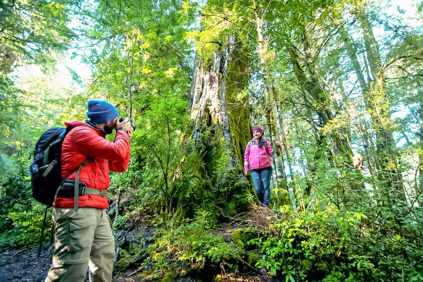 Picture 4 for Activity Cruce Andino: Puerto Varas to San Carlos de Bariloche