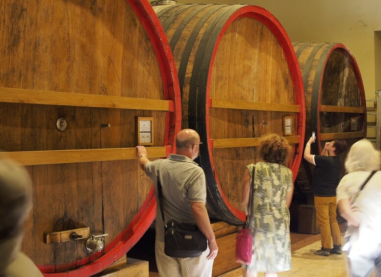 Picture 8 for Activity From Lake Garda: Valpolicella Wine & Lunch Guided Trip