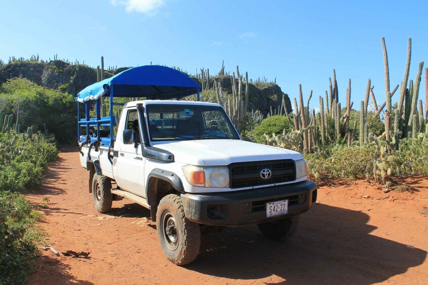 Picture 2 for Activity Willemstad: Guided Beach Hopping Tour by Bus or Jeep