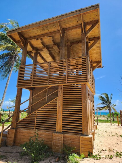 Picture 1 for Activity Los Haitises & Esmeralda Beach + Montana Redonda