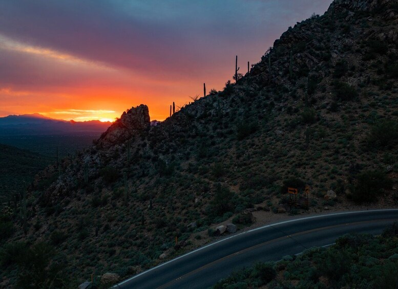 Picture 12 for Activity Saguaro National Park: Self-Guided GPS Audio Tour