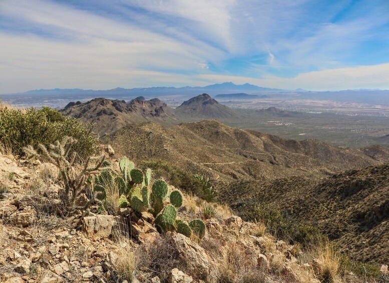 Picture 14 for Activity Saguaro National Park: Self-Guided GPS Audio Tour