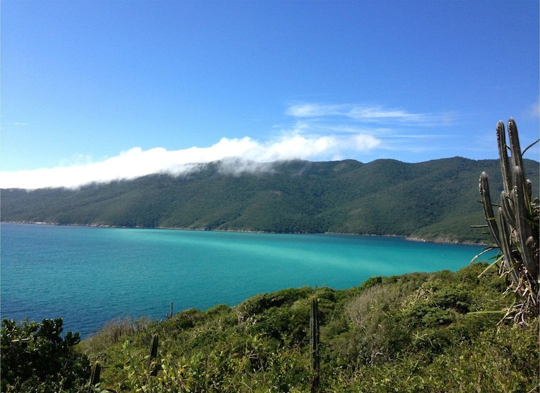 Picture 1 for Activity From Búzios: Arraial do Cabo and Cabo Frio Day Trip