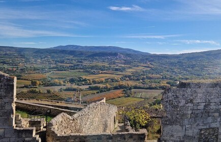 From Avignon: Full-Day E-Bike Tour in the Luberon Region