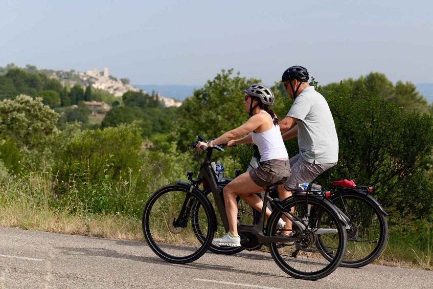 Picture 3 for Activity From Avignon: Full-Day E-Bike Tour in the Luberon Region