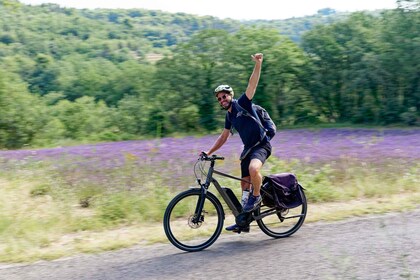 アヴィニョン発：リュベロン地方1日自転車ツアー