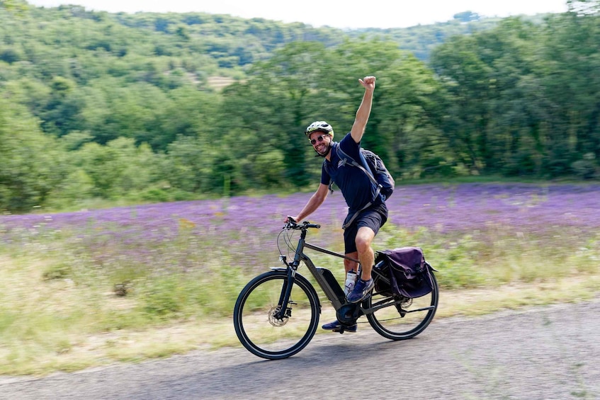 From Avignon: Full-Day E-Bike Tour in the Luberon Region