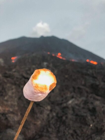 Picture 7 for Activity Antigua & Guatemala: Pacaya Volcano Hike & Picnic Adventure