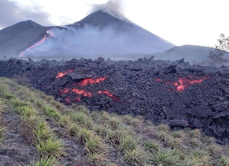 Picture 10 for Activity Antigua & Guatemala: Pacaya Volcano Hike & Picnic Adventure