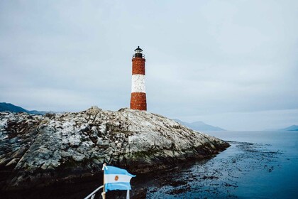 From Ushuaia: Beagle Channel Catamaran Tour