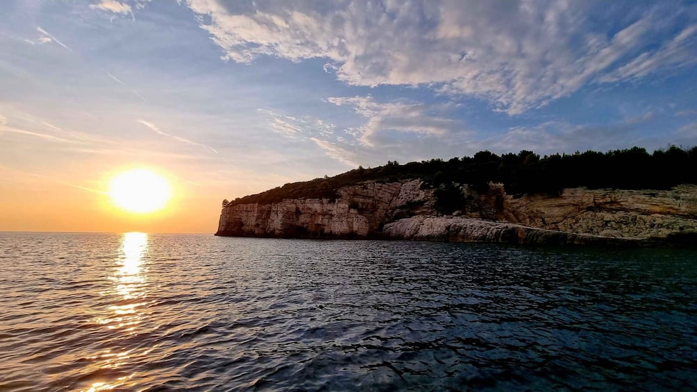 Picture 9 for Activity From Pula: Private Boat Tour and Brijuni National Park