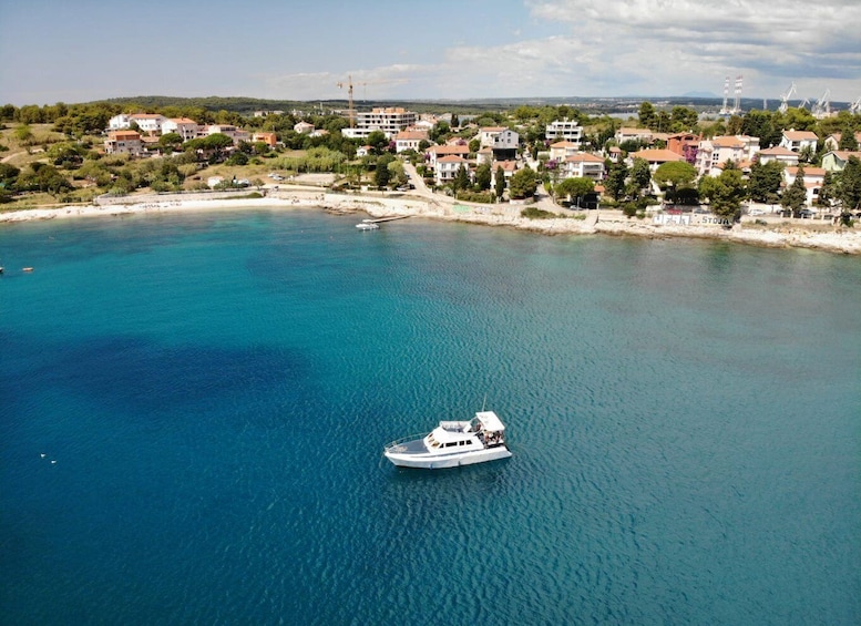 Picture 2 for Activity From Pula: Private Boat Tour and Brijuni National Park