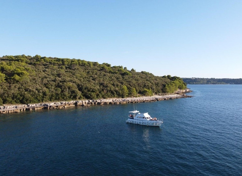 Picture 1 for Activity From Pula: Private Boat Tour and Brijuni National Park