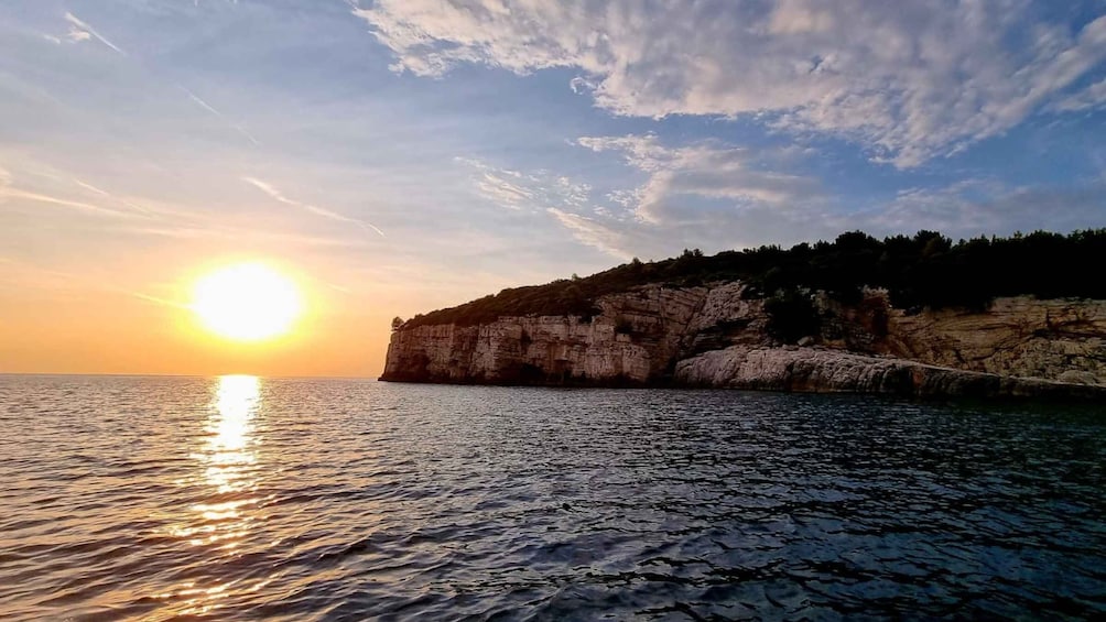 Picture 9 for Activity From Pula: Private Boat Tour and Brijuni National Park