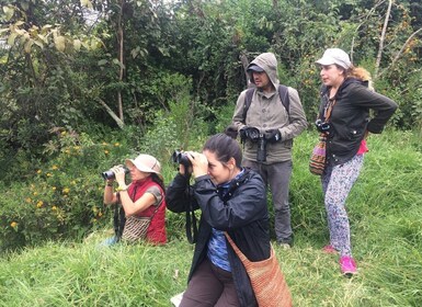 Observation des oiseaux excursion d’une journée au Parc Naturel de Chicaque