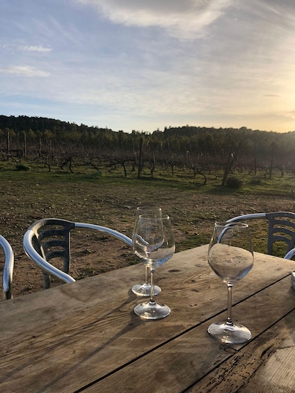 Picture 7 for Activity Wine tour and lunch or dinner at our vineyard