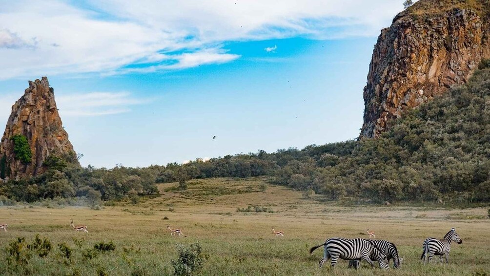 Picture 1 for Activity Overnight Tour To Hell’s Gate And Lake Nakuru National Park