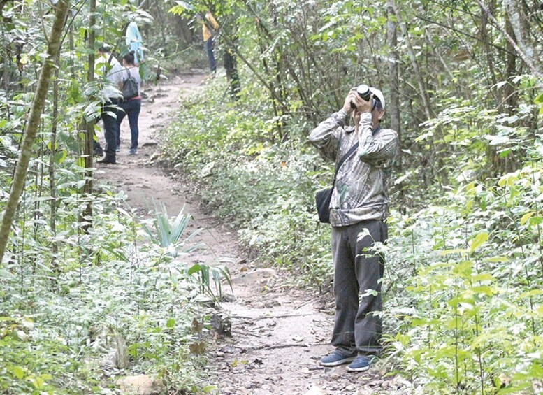 Picture 4 for Activity From Campeche: Miguel Colorado Cenotes Tour