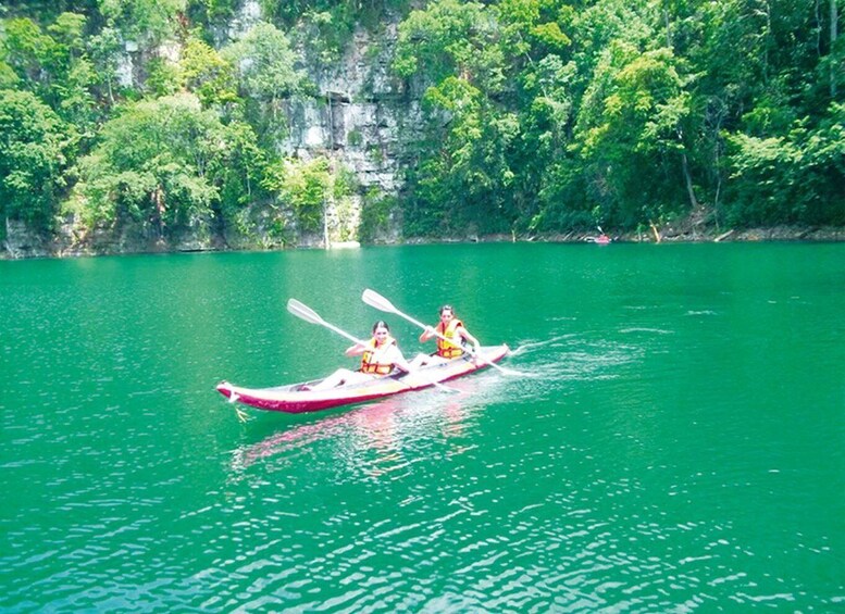 Picture 3 for Activity From Campeche: Miguel Colorado Cenotes Tour