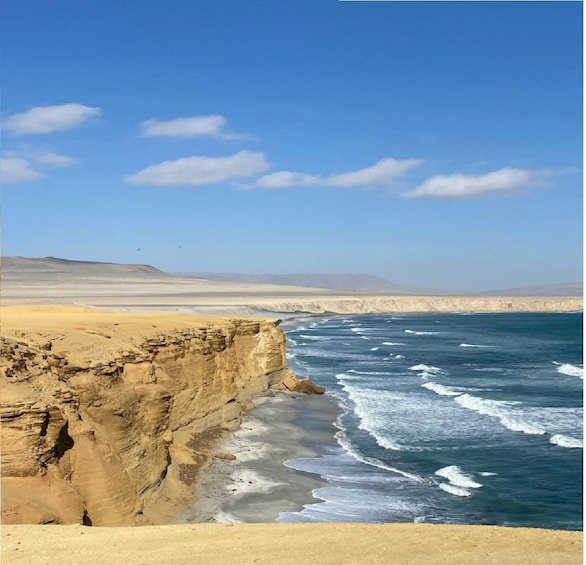 Picture 7 for Activity From Paracas: tour scootering to Paracas National Reserve