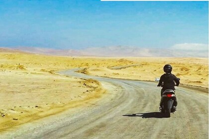 Desde Paracas: recorrido en moto hasta la Reserva Nacional de Paracas