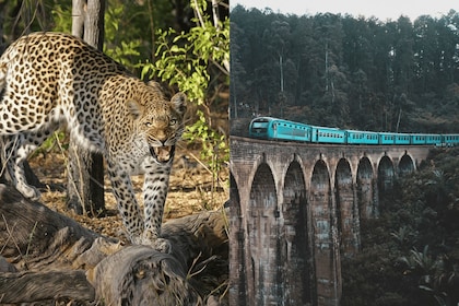 雅拉野生動物園全包埃拉風景火車之旅