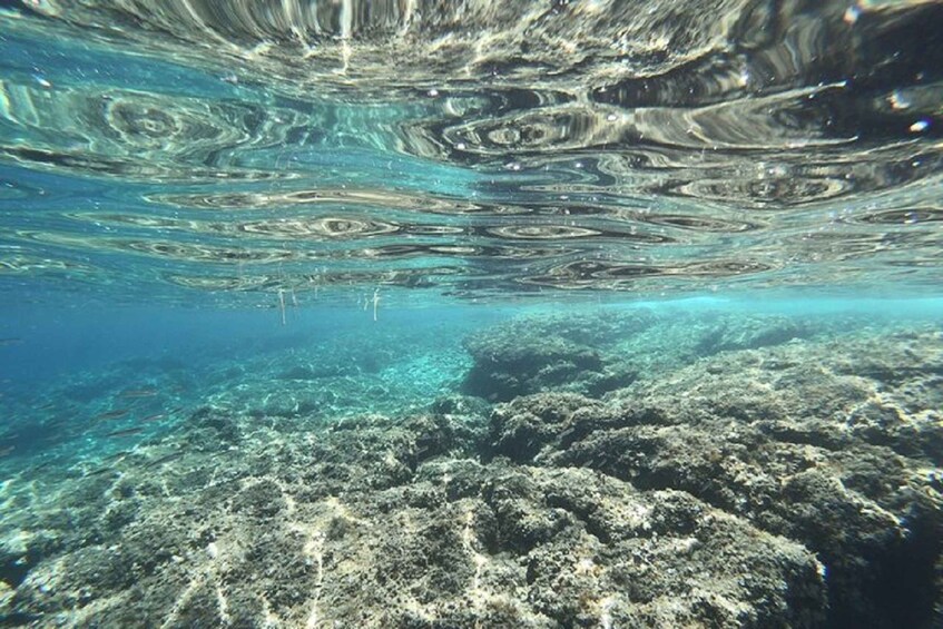 Picture 8 for Activity From Zadar: Full Day Sailing Tour