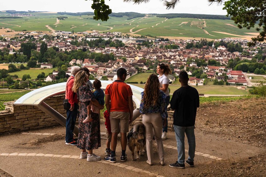 Chablis: Visit of the Grand Cru vineyard