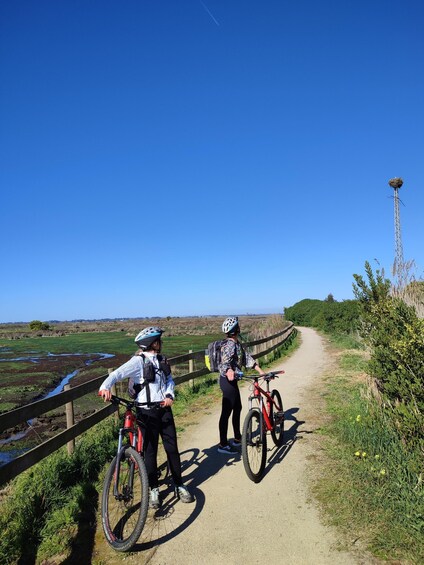 Picture 6 for Activity Aveiro: Tour Ria - Bike Adventure in Aveiro's Estuary