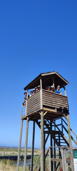 Picture 5 for Activity Aveiro: Tour Ria - Bike Adventure in Aveiro's Estuary