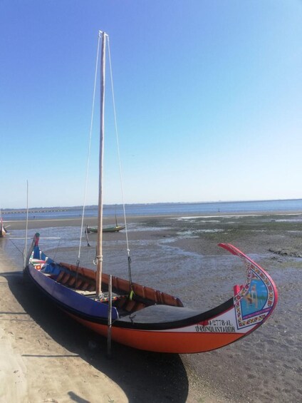 Picture 3 for Activity Aveiro: Tour Ria - Bike Adventure in Aveiro's Estuary