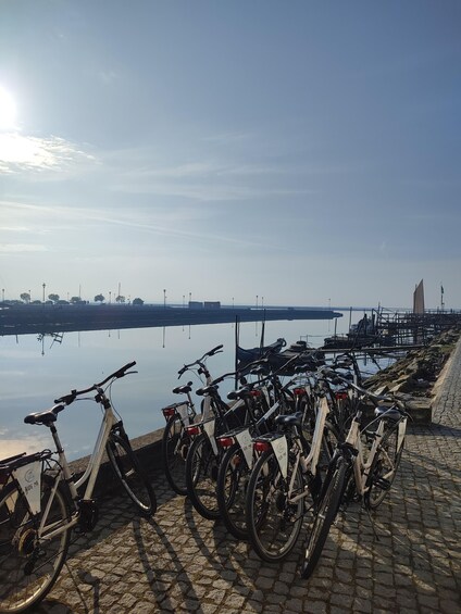 Picture 4 for Activity Aveiro: Tour Ria - Bike Adventure in Aveiro's Estuary