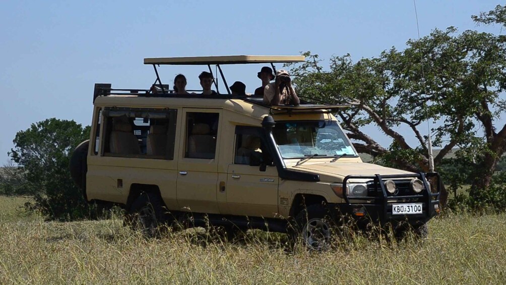 3-Day Masai mara Safari Adventure