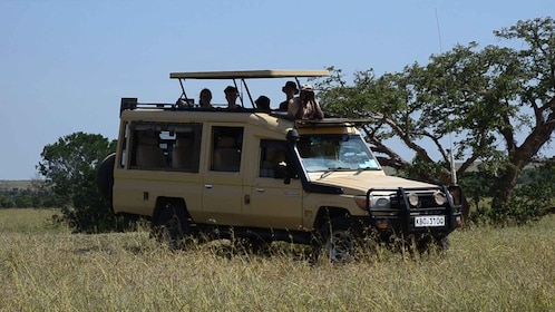 3-Day Maasai mara Safari Adventure