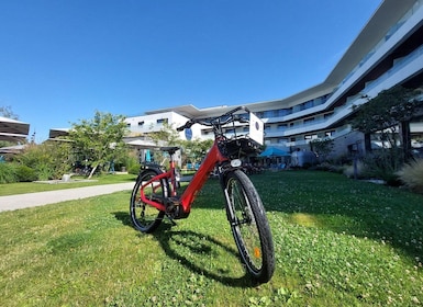 Annecy-le-Vieux, France: Electric and Muscle Bike Rentals