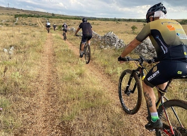 Puglia/Bari: Bike Tour in Forest & Focaccia