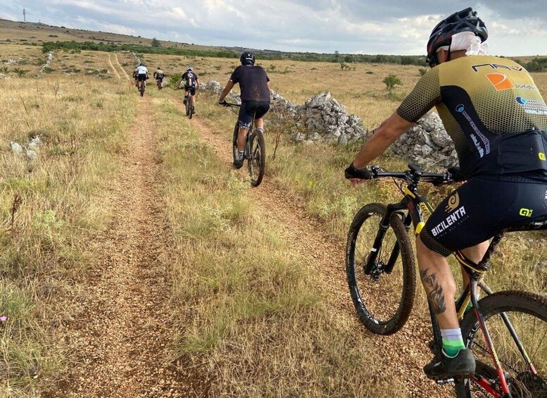 Puglia/Bari: Bike Tour in Forest & Focaccia