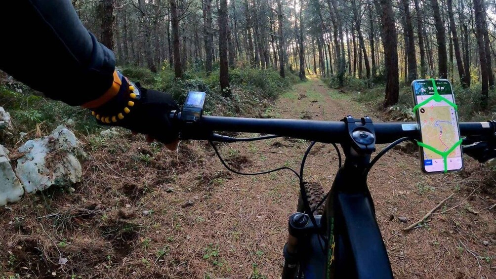 Picture 11 for Activity Puglia/Bari: Bike Tour in Forest & Focaccia