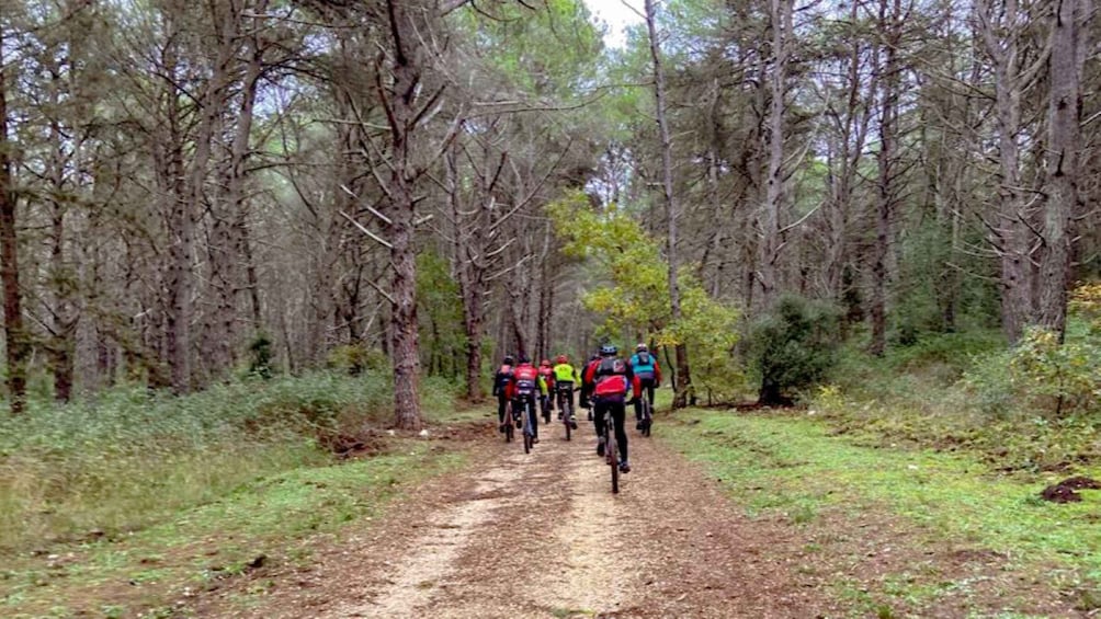 Picture 10 for Activity Puglia/Bari: Bike Tour in Forest & Focaccia