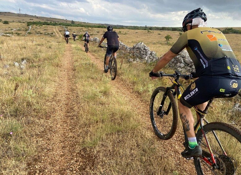 Puglia/Bari: Bike Tour in Forest & Focaccia