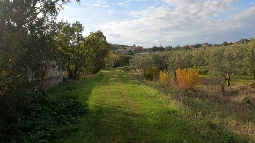 Picture 5 for Activity Puglia/Bari: Bike Tour in Forest & Focaccia