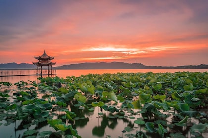 Shanghai: Private geführte Tour nach Hangzhou mit dem Hochgeschwindigkeitsz...