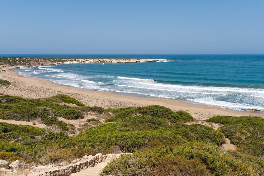 Beach of Paphos