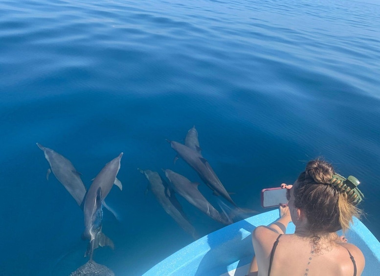 Puerto Escondido: Boat Tour to Swim with Dolphins & Turtles