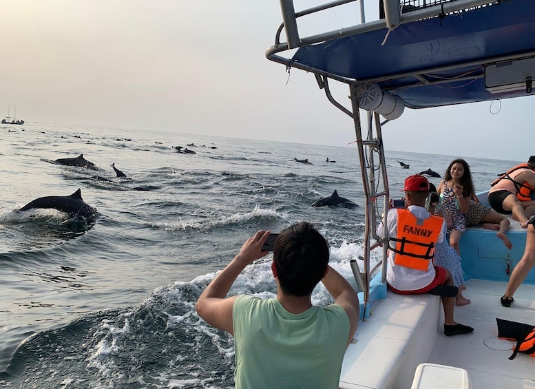 Picture 56 for Activity Puerto Escondido: Boat Tour to Swim with Dolphins & Turtles