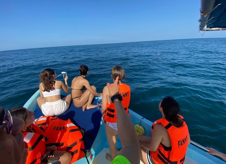 Picture 74 for Activity Puerto Escondido: Boat Tour to Swim with Dolphins & Turtles