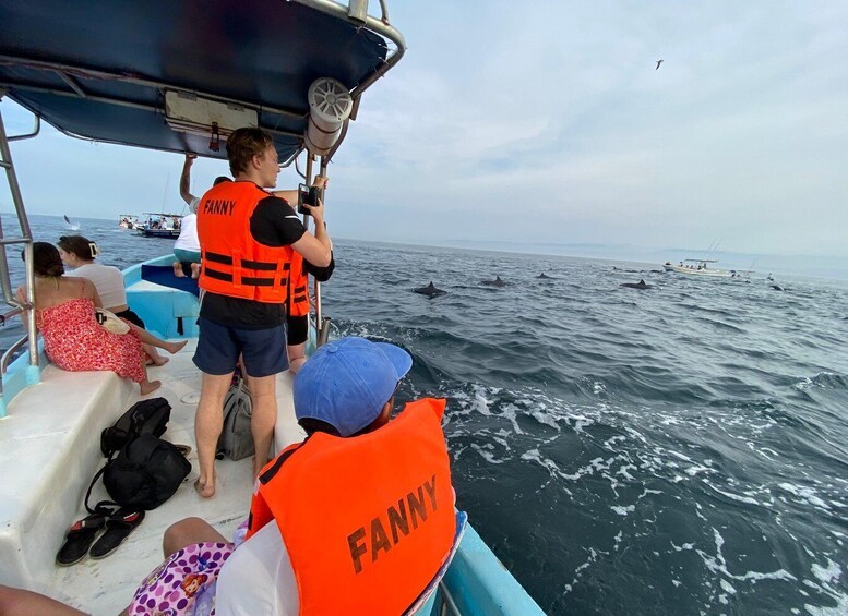 Picture 70 for Activity Puerto Escondido: Boat Tour to Swim with Dolphins & Turtles