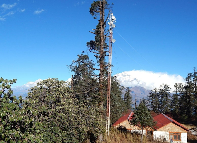 Picture 1 for Activity Mohare Danda: Majestic 6-days Trek