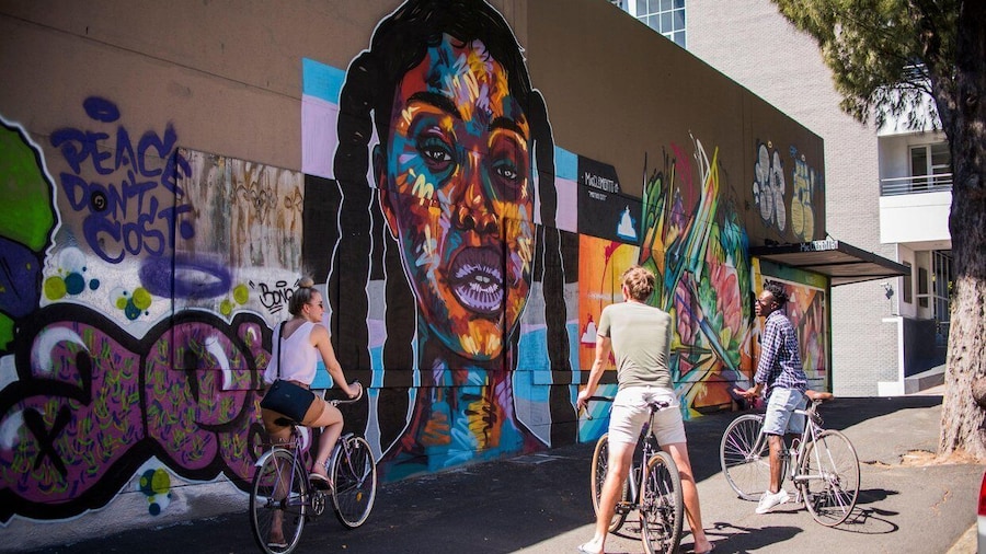 Cape Town City and Woodstock Bicycle Tour